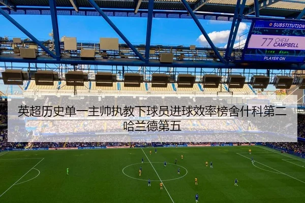 英超历史单一主帅执教下球员进球效率榜舍什科第二哈兰德第五